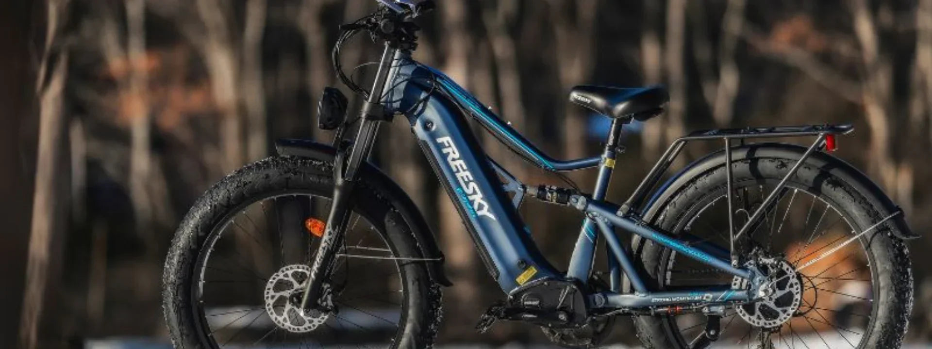 FREESKY Batteries: UL-2271 Certification and Our Commitment to Your Safety